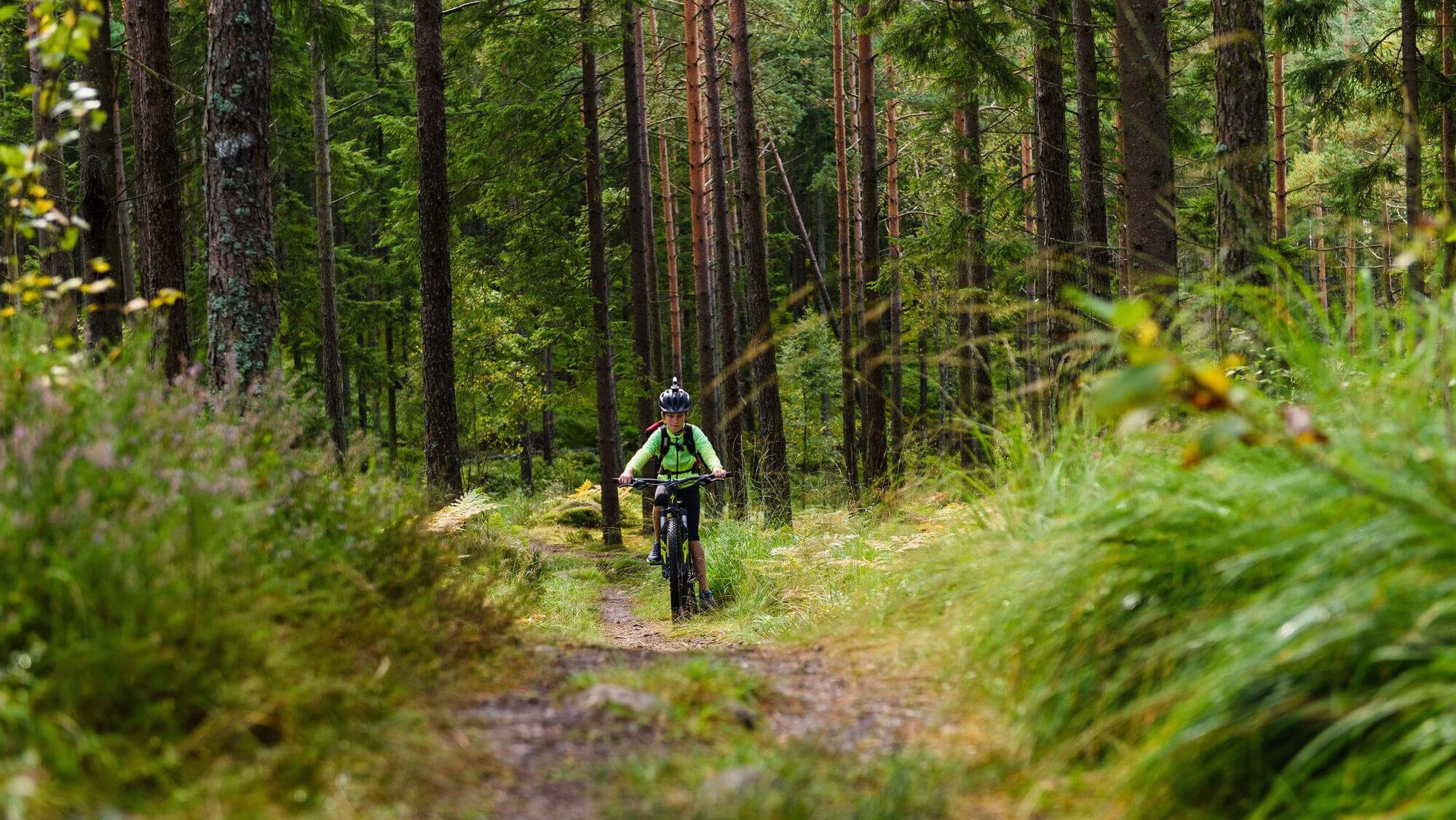 Szlaki i trasy rowerowe na terenie Wigierskiego Parku Narodowego