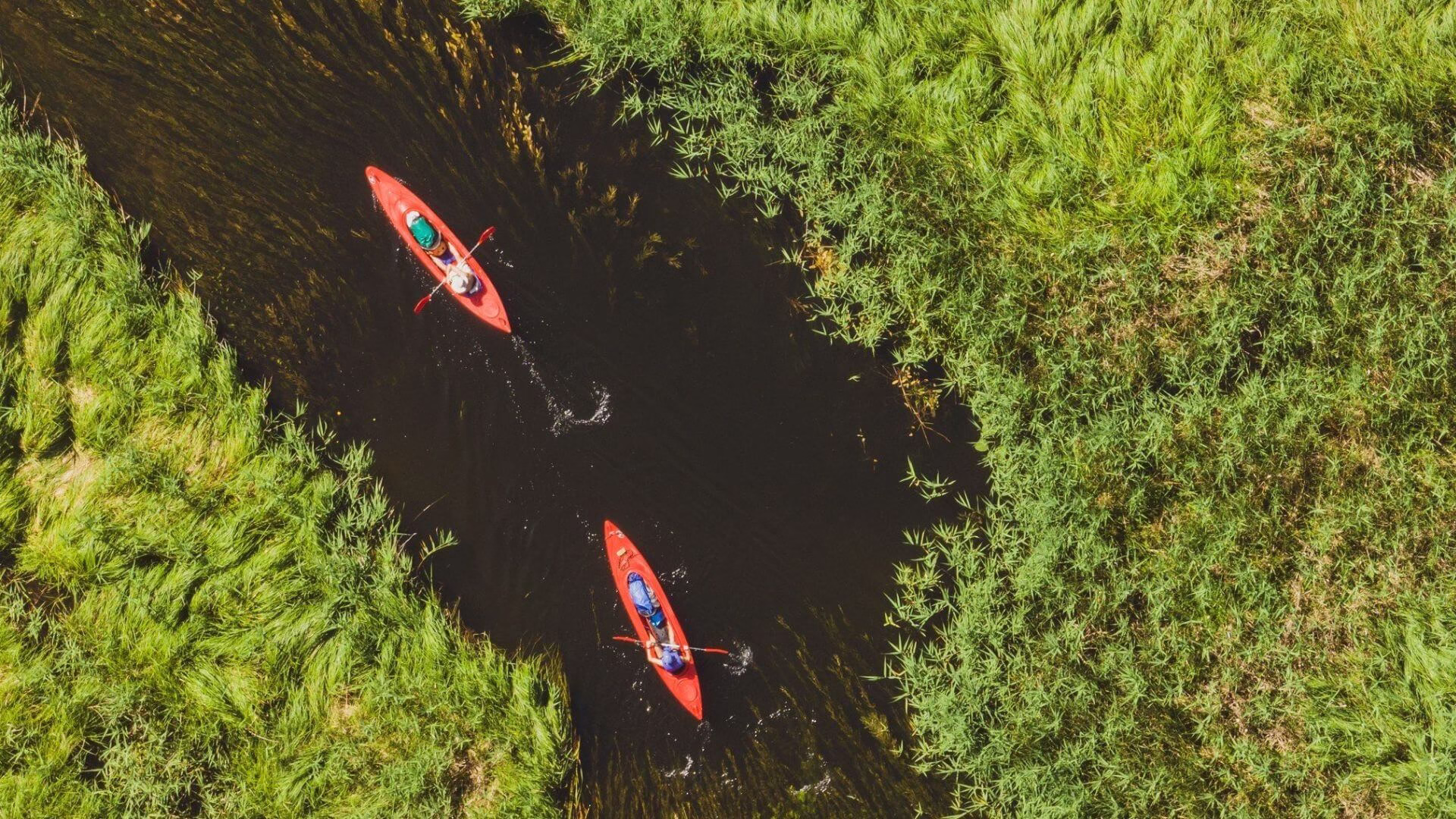 Majówka 2026 w Wigierskim Parku Narodowym